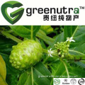 Noni Extract